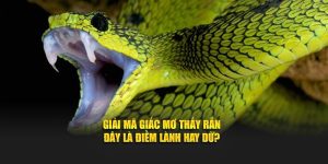 Giải mã giấc mơ thấy rắn đây là điềm lành hay dữ