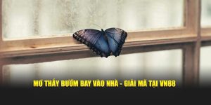 Mơ thấy bướm bay vào nhà giải mã tại VN88